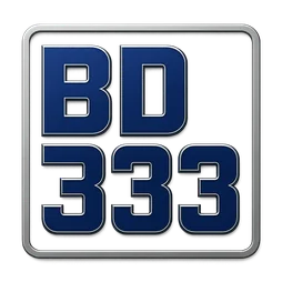 bd333 Step-by-step Help Guide Screen